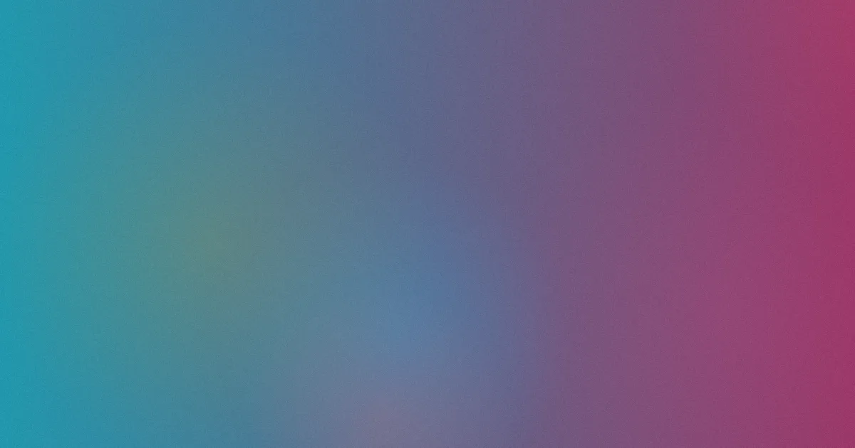 yellow网站攻略：四组方案横向对比